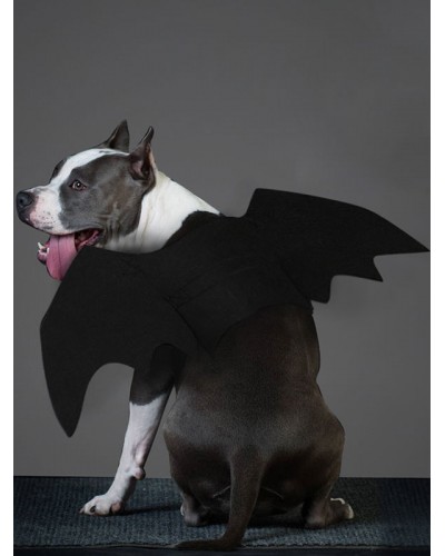 Animal Costume Evil Wings Polyester Black Puppy Costume Halloween