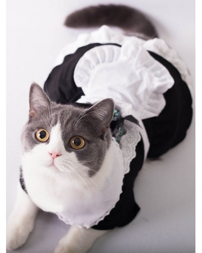 Cat Halloween Costume Maid Black Dress