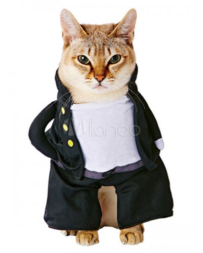 Cat Costumes Crows Zero Black Pet Costumes Outdoor Halloween