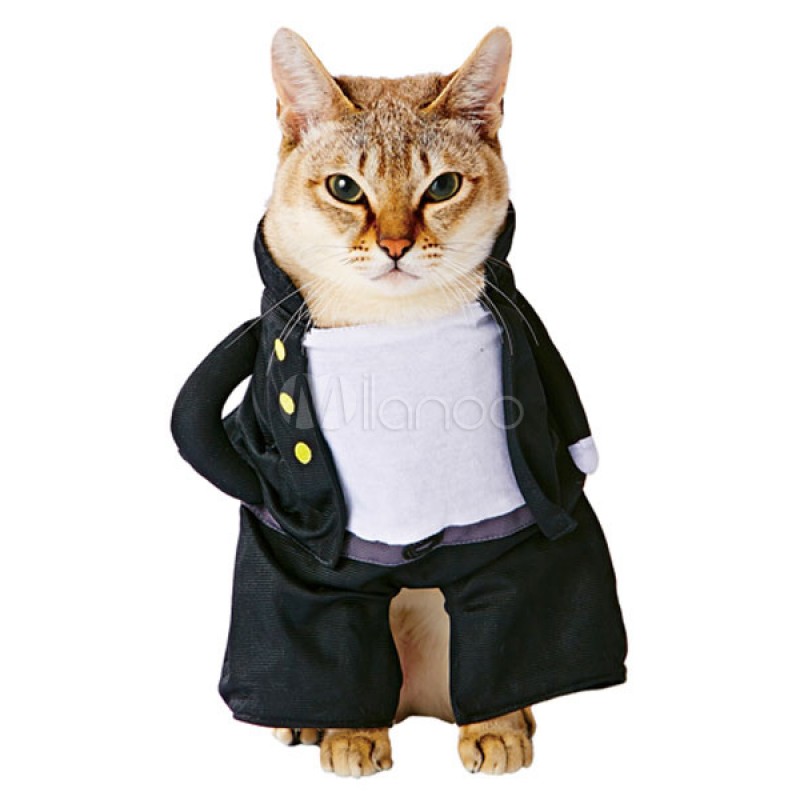 Cat Costumes Crows Zero Black Pet Costumes Outdoor Halloween