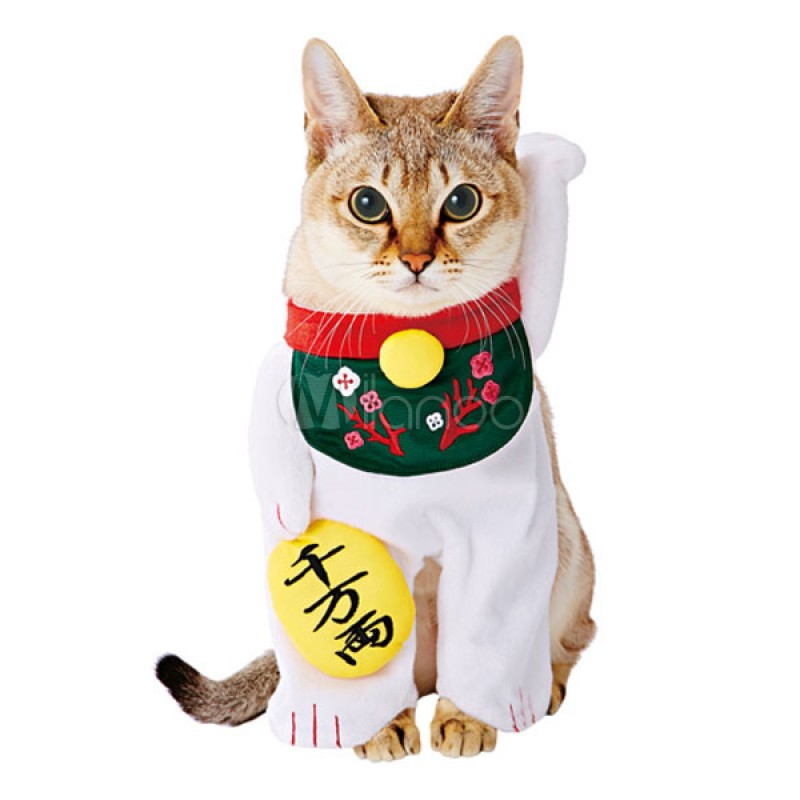 Cat Costumes White Fortune Cat Pet Costumes Halloween Outdoor