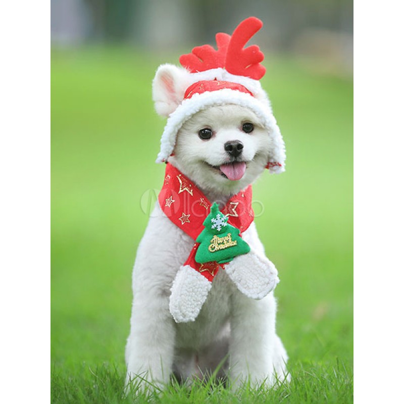 Dog Christmas Costume Cat Pet Red Two Piece Set Hat And Scarf