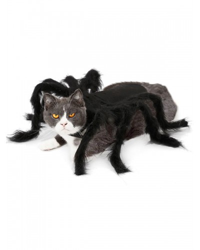 Animal Spider Costume Polyester Black Puppy Cat Costume Halloween