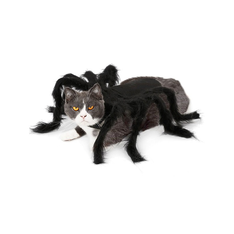Animal Spider Costume Polyester Black Puppy Cat Costume Halloween