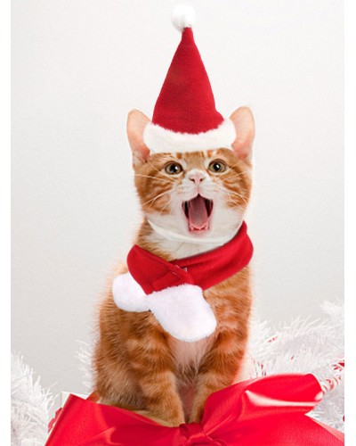 Christmas Costume Dog Cat Pet Red Hat Scarf Set Two Piece