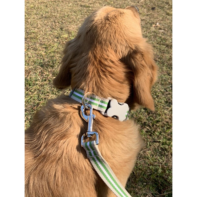 Pet Collar Traction Rope